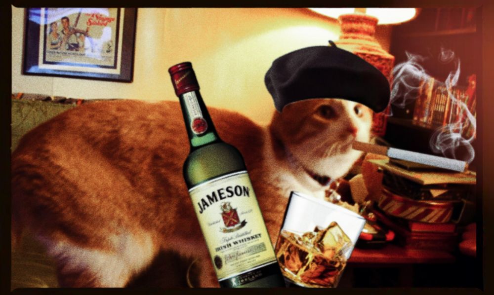 Orange and white cat with a photoshopped cigarette, whiskey, glass, and beret. He is so cool.