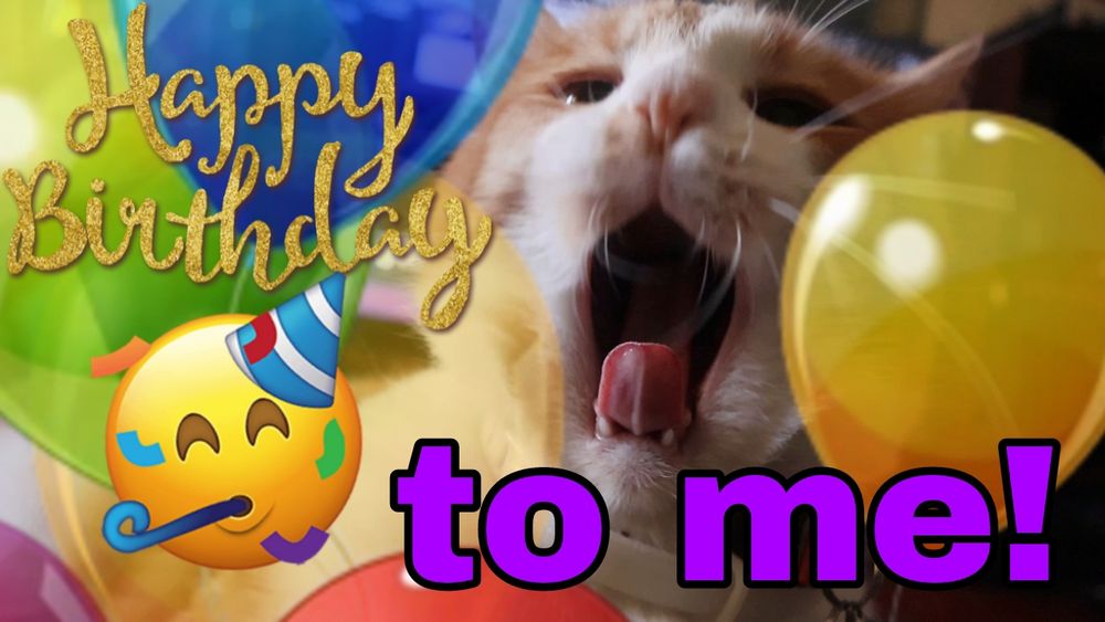 Orange and white cat yelling, surrounded by photoshopped balloons. Text reads, "happy birthday to me." He says, "Good morning Gonzobongos! It is my birthday! Happy birthday to me! I am now 4 years old."