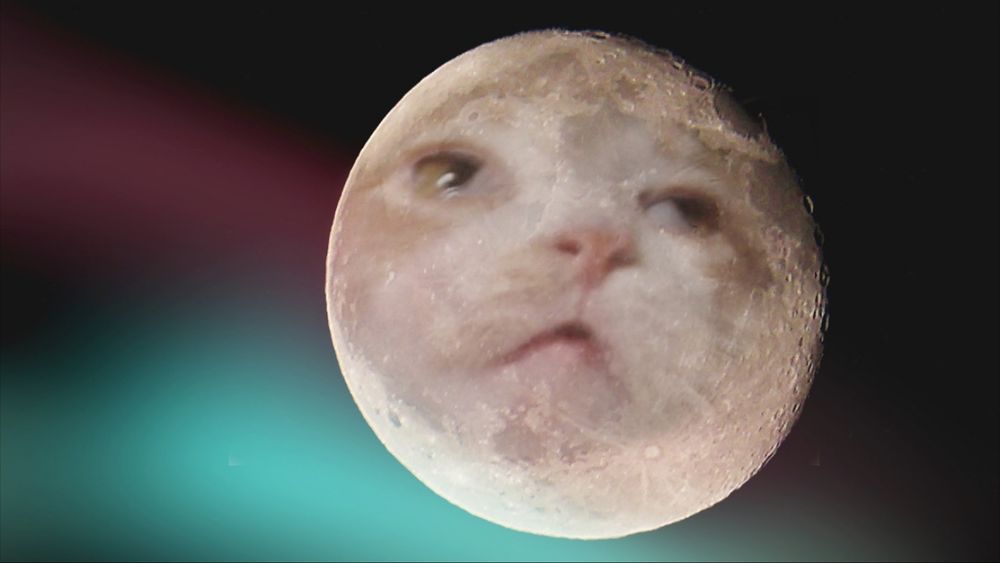 The moon with a cat's ridiculous face superimposed 
