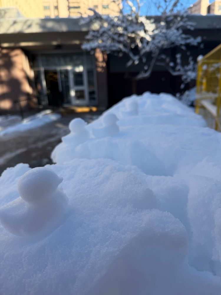 Small ducks made out of snow sitting on top of a shelf of snow over a trash can. 
People make them using a mold all over campus at UCalgary after the snow and it’s such a delightful joyfully act. 