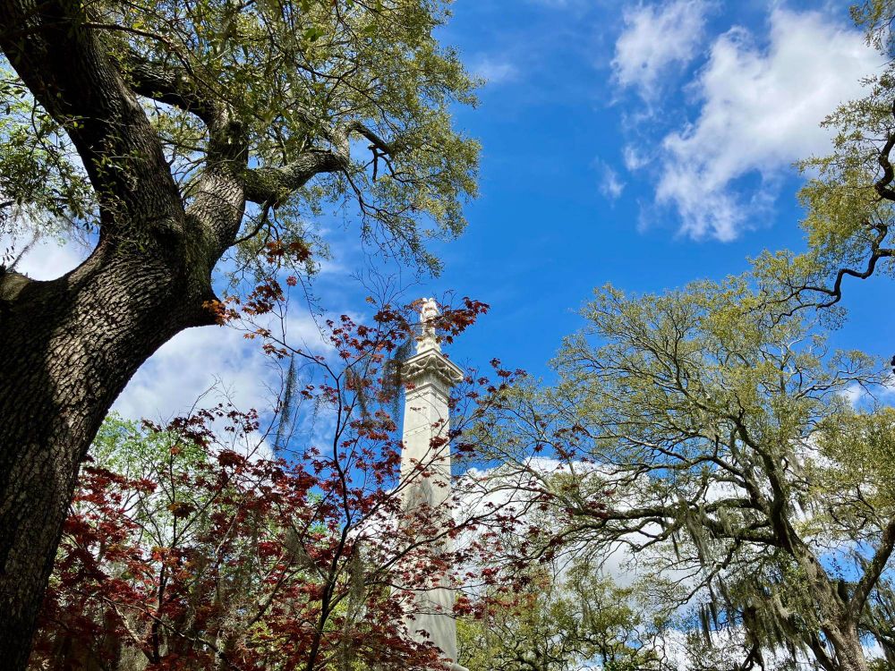This image depicts several budding trees, Spanish moss, and a white stone pillar against a vivid blue sky.