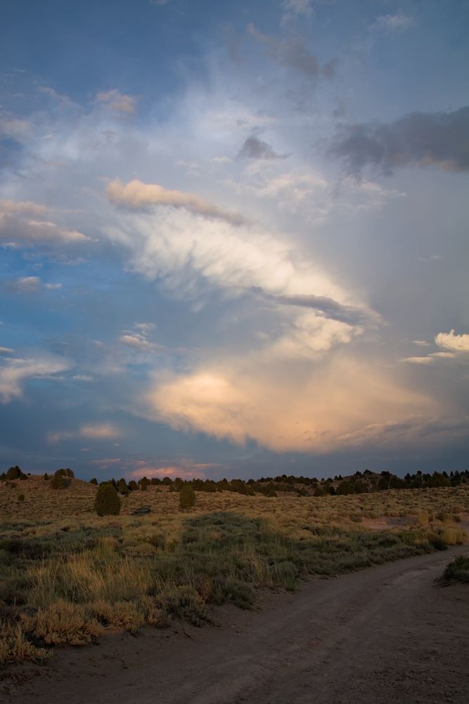 Storm clouds gather over an evening-shadowed scrubland.