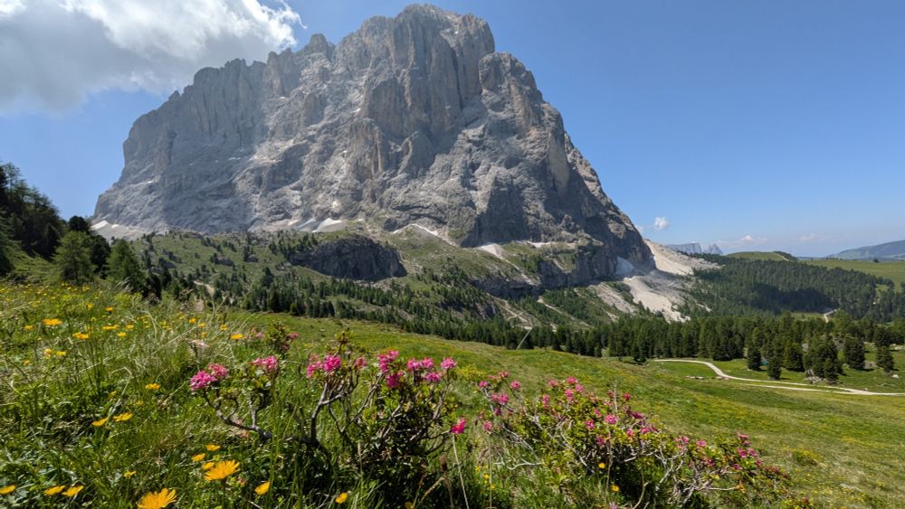 Mountain catching the light with pasture and red flowers

