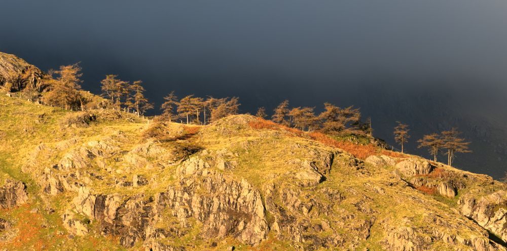 Early morning light catching the hillside and trees with very dark cloud behind