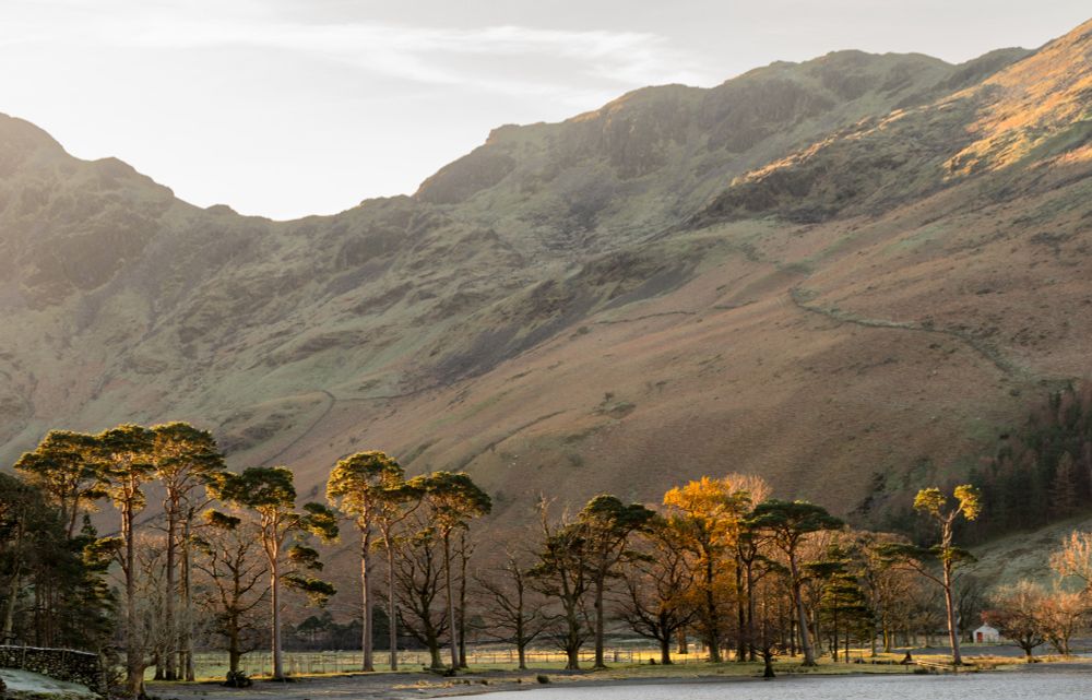 Light catching the top of a row of trees at the edge of a lake with mountains behind