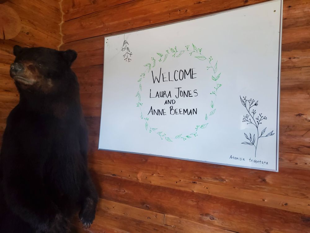 Floral whiteboard art that says "Welcome Laura Jones and Anne Beeman"
