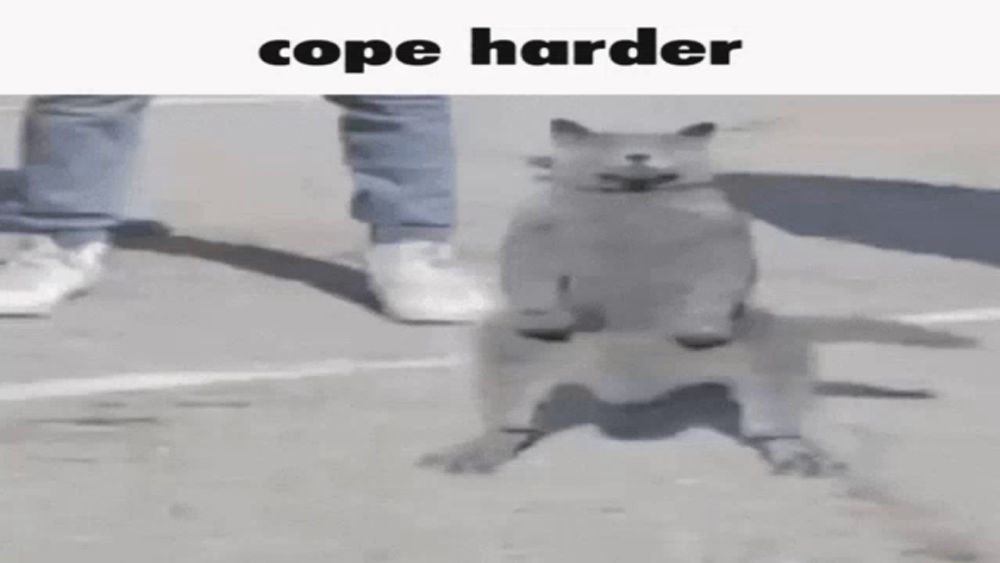 Cope Cat GIF