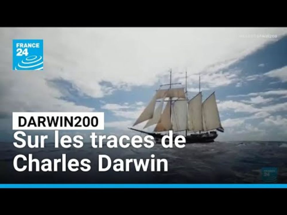 Darwin200 : l'expédition qui reprend le voyage historique de Charles Darwin • FRANCE 24