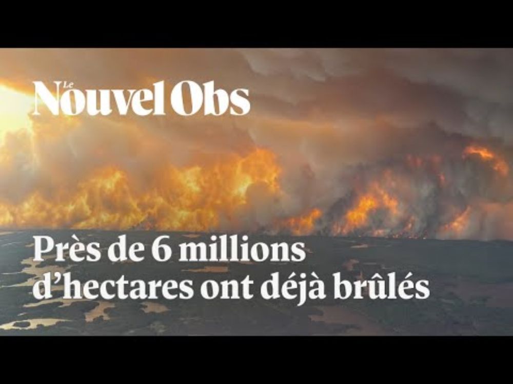 Au Canada, une saison des feux déjà catastrophique avec près de 6 millions d'hectares brûlés