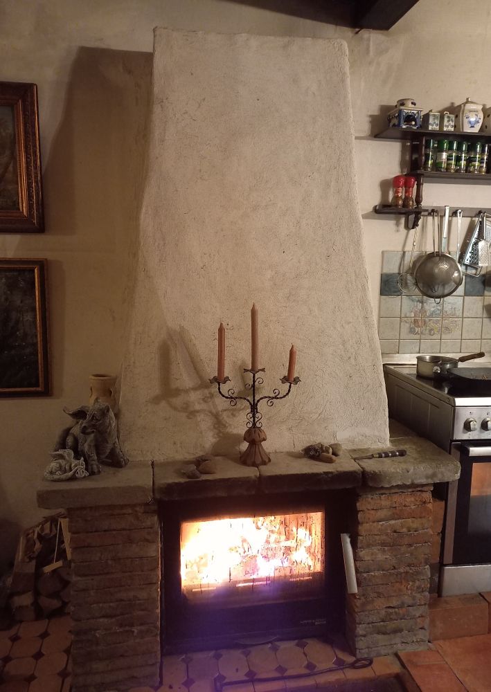 Foto eines Kaminofens mit brennendem Feuer hinter Glasscheibe