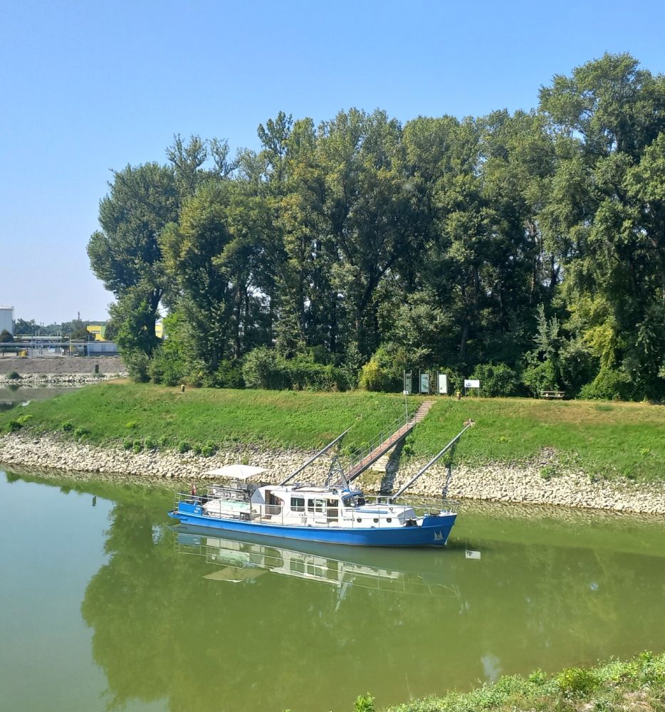 Ein blau-weißes Boot im Wasser (Anlegestelle Lobau), dahinter hohe Bäume