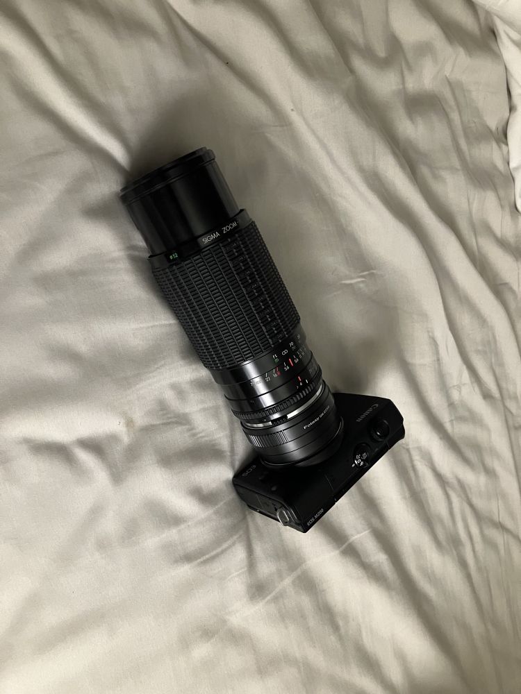 Blue’s Canon M200 with a much older Sigma telephoto lens attached with an adapter ring.