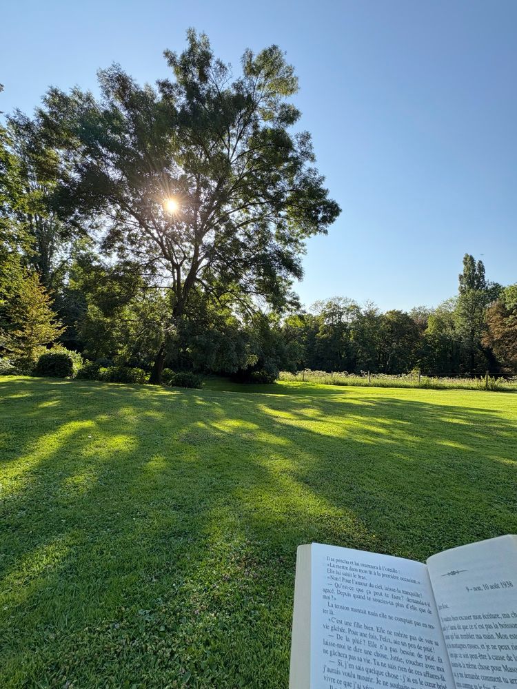 Picture. Garden. Tree. Book. Sunny.