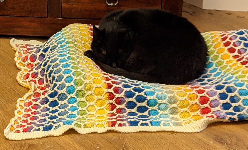 Black cat snuggled up in a ball on a honeycomb blanket in rainbow colours.