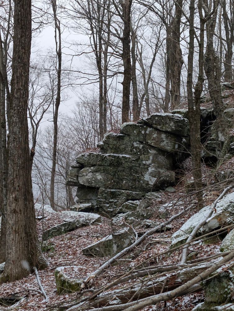 Rocky forest hillside with bare trees and a light dusting of snow on the ground and stone ledges.