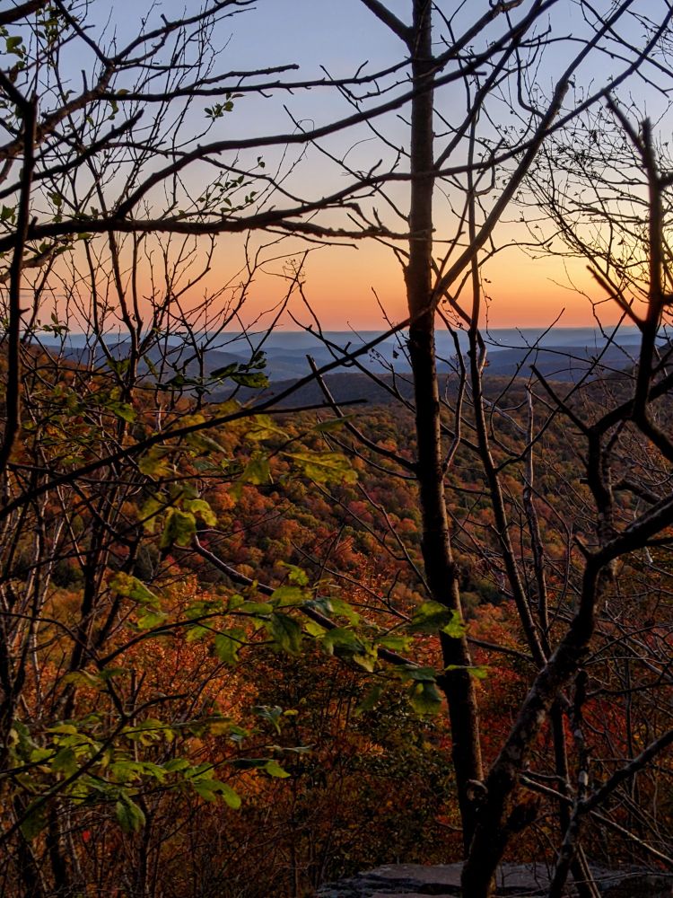 A view of autumn forested hills at sunset, seen through a web of bare branches and a few green leaves in the foreground