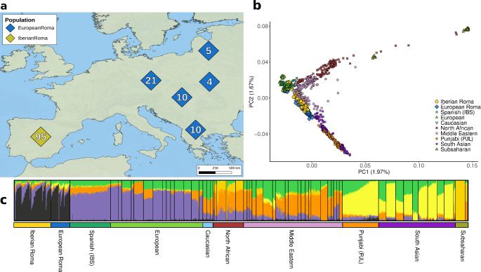Estructura genètica de la població dels grups gitanos europeus (Imatge: Human Genetics)
