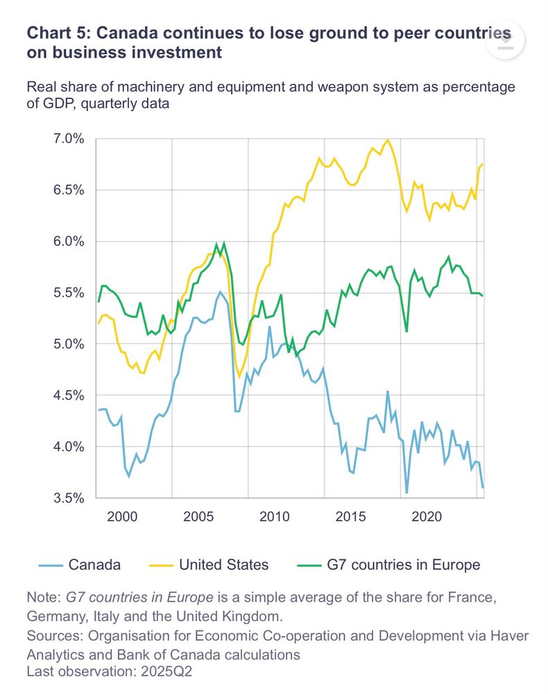 The gap between the blue line and the yellow and green lines represents forgone wealth, forgone opportunities.