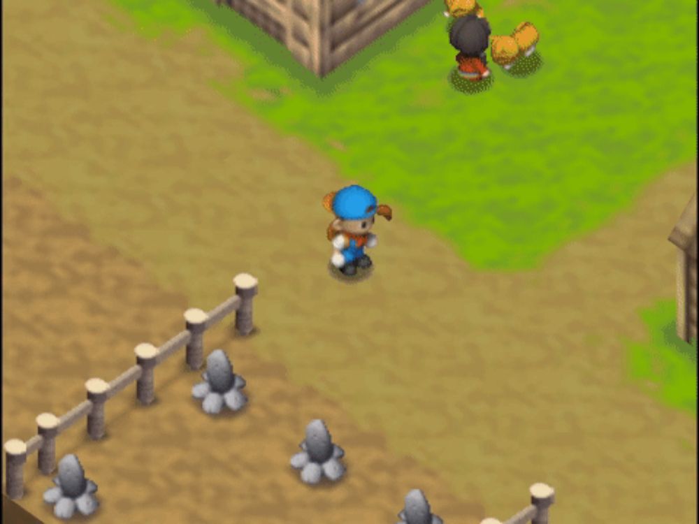 a screenshot of a game that says " seems like a cemetery for animals "