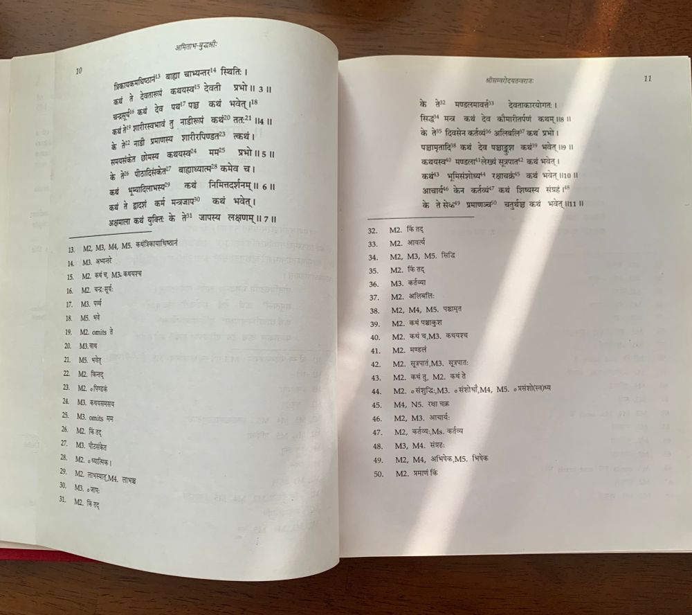 More of the Sanskrit text