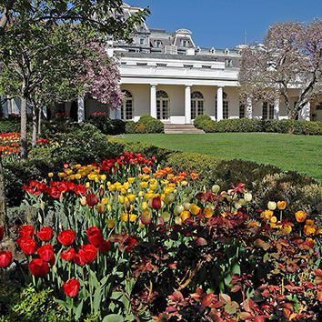 Verdant garden with trees, grass, and flowers 