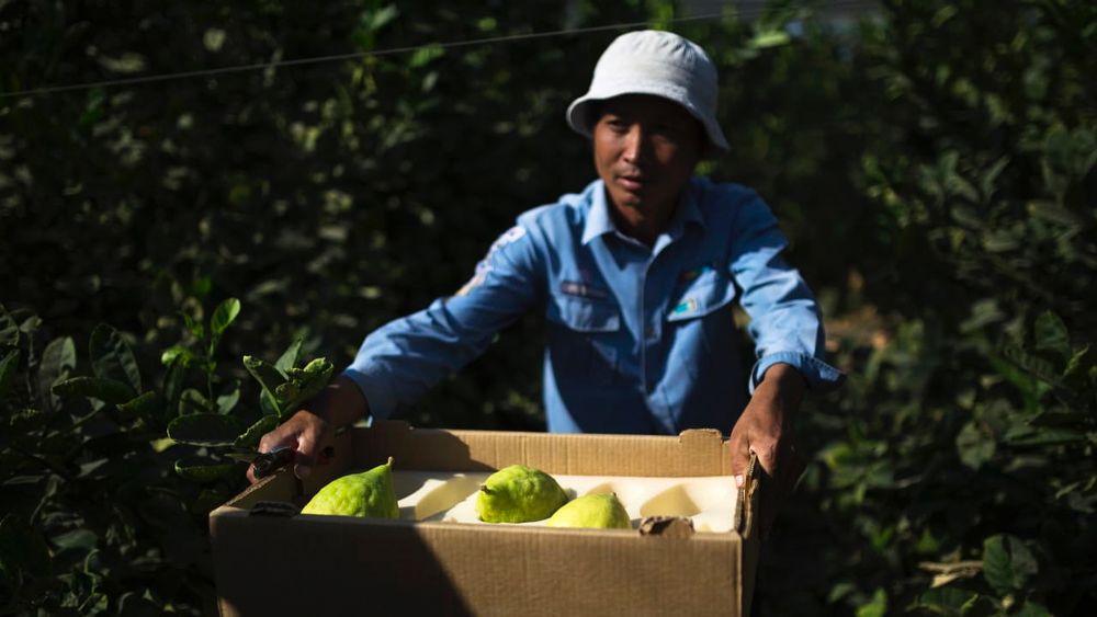 Out of 654 Thai foreign workers questioned, all of them said they had been exposed to sexual assault.