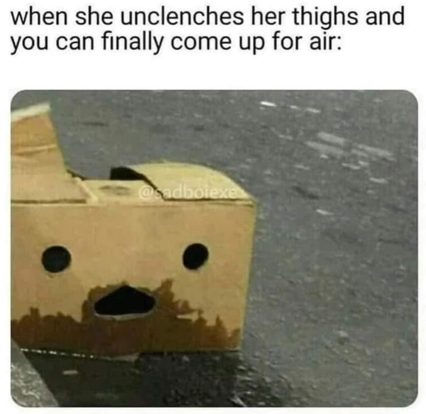 Text says "when she unclenches her thighs and you can finally come up for air" above an image of a box that's partially visibly wet in a way that makes the holes that look like a face appear to have been wetted by way of the description in the text despite the box being inanimate
