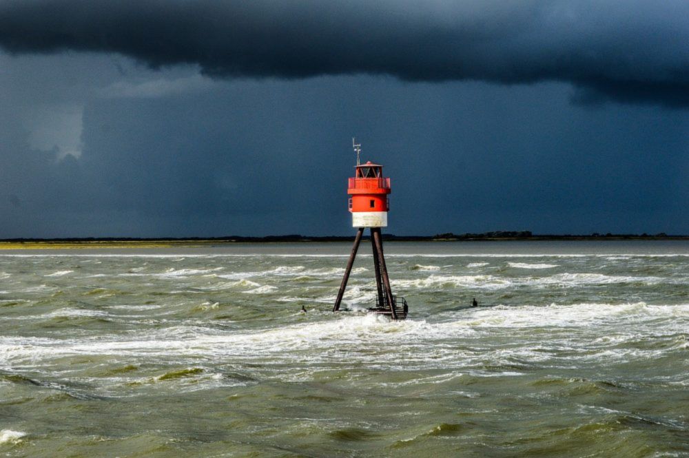 Schutzgemeinschaft Deutsche Nordseeküste e.V.: "Gasförderung vor Borkum zum Schaden der Meeres-Natur"