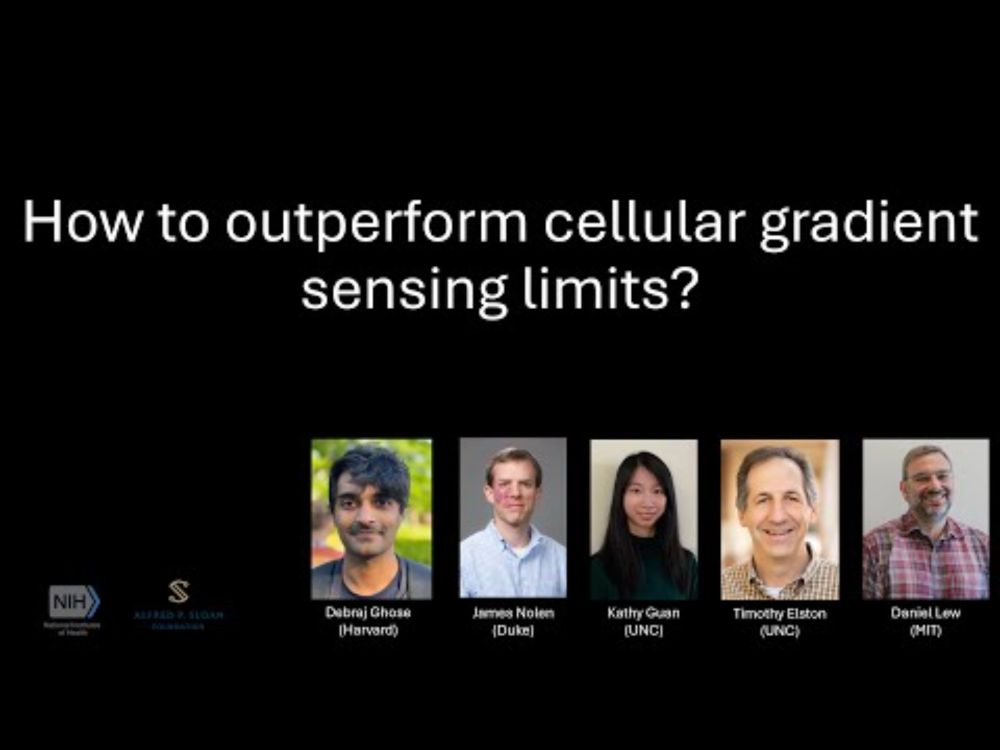 Local collective memory from ratiometric signaling outperforms cellular gradient sensing limits