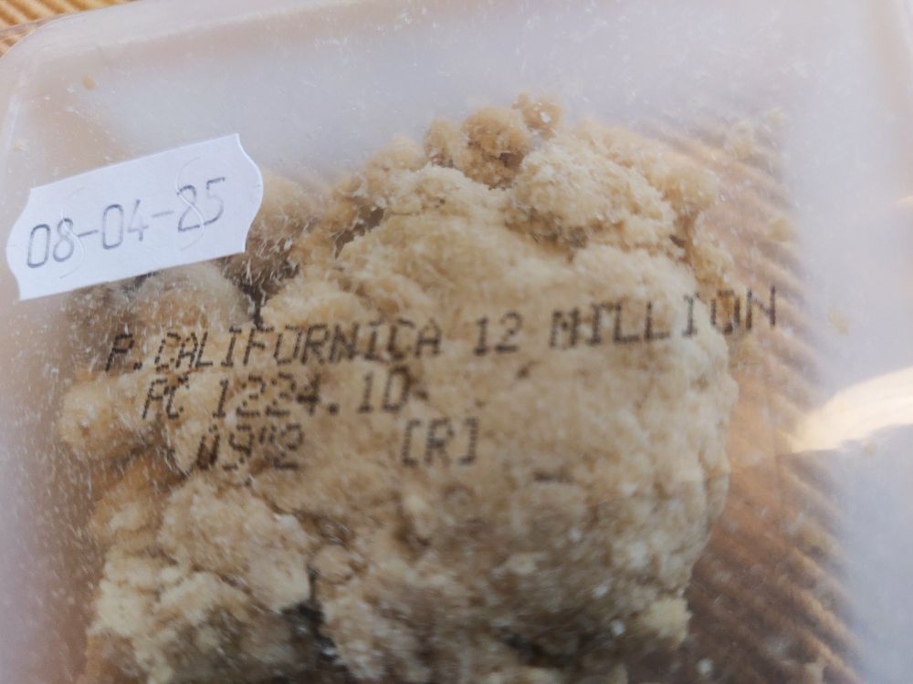 A box of what looks like dried fudge with dot-matrix lettering on the transparent cover.