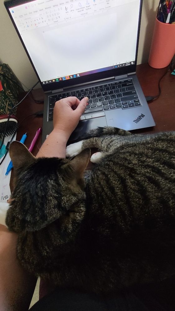 A tabby cat sits across a woman's arms as she types on a laptop