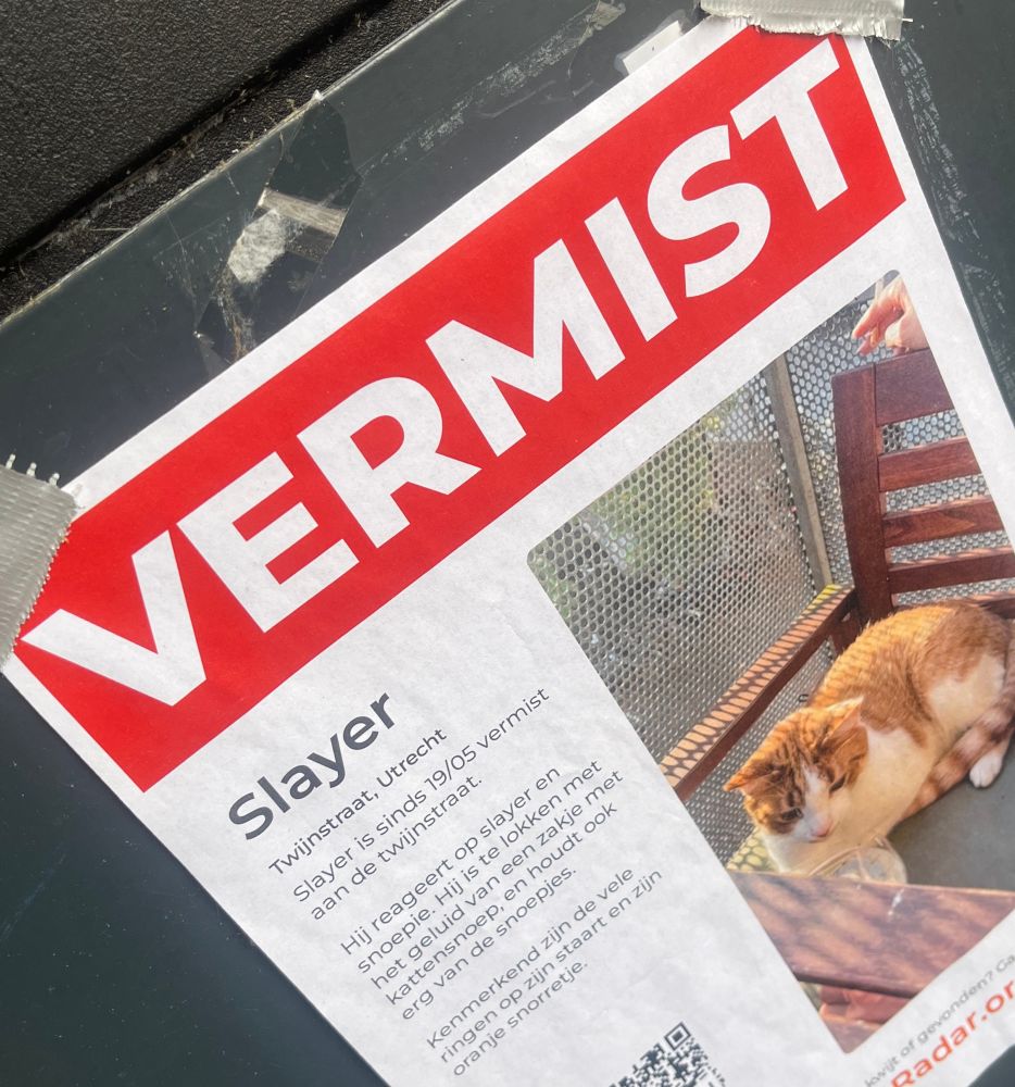 Vermist; rood-witte poes die Slayer heet (maar hij luistert ook naar ‘snoepie’).