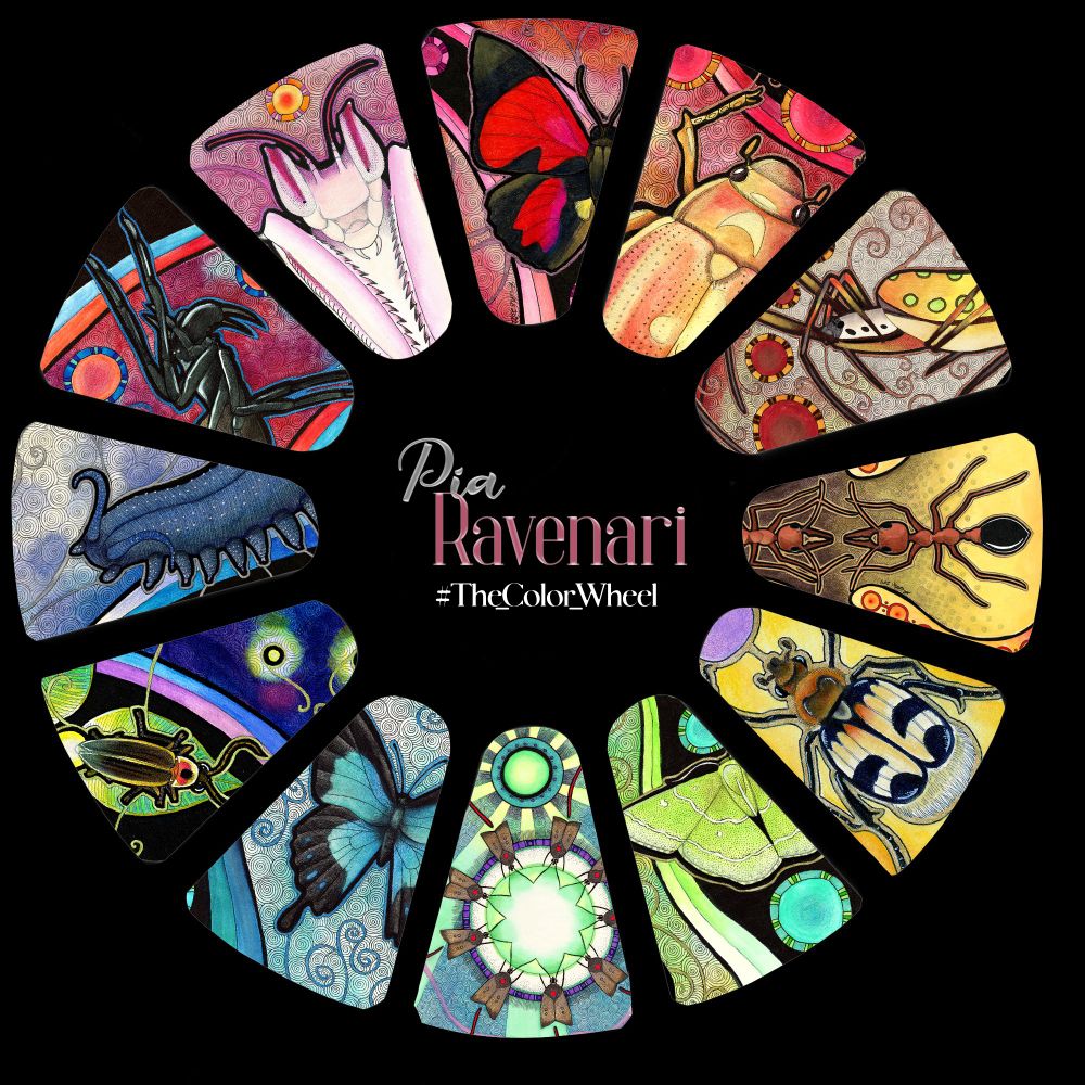 Twelve illustrations of arthropods by Pia Ravenari shown in a circle colour wheel, bordered in black.
