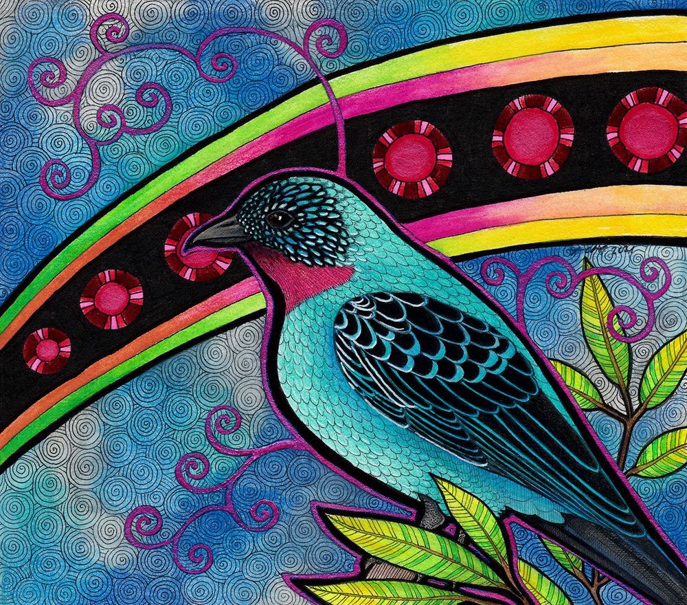 Spangled cotinga illustration by Pia Ravenari. It is a bright turquoise blue bird with magenta throat, and much intricate black patterning on the cheeks, wings and tail. The background is blue and pink, with some bright green leaves. It is traditional art of pencil and ink on illustration board.