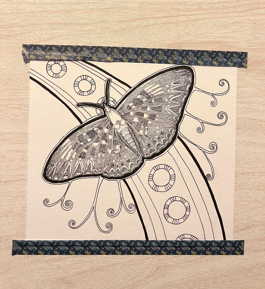 An unfinished illustration by Pia Ravenari of a butterfly called The Constable, its wings are spread and intricately inked because I like hurting my fingies. It is ink on paper and not yet coloured. 