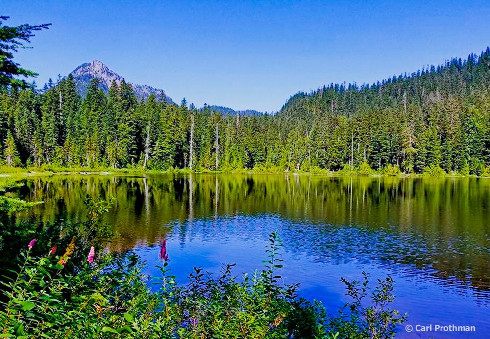 A bright summer view of Mirror Lake at Snoqualmie Pass, Washington. The lake reflects the surrounding evergreen forest and the rugged mountain peak in the distance. In the foreground, pink and purple wildflowers grow along the water’s edge, adding color to the lush greenery. The sky is clear and blue, enhancing the vivid contrast of green trees, calm water, and the jagged peak in the background. The overall mood is peaceful and serene, capturing the beauty of a Pacific Northwest alpine setting.