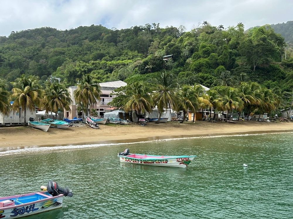Two small motorboats are anchored in front of a shallow beach, where more boats are resting. The water is green, and the beach is lined with palm trees. In the background, a lush tropical forest can be seen in vibrant green. Photo: Beate Ratter