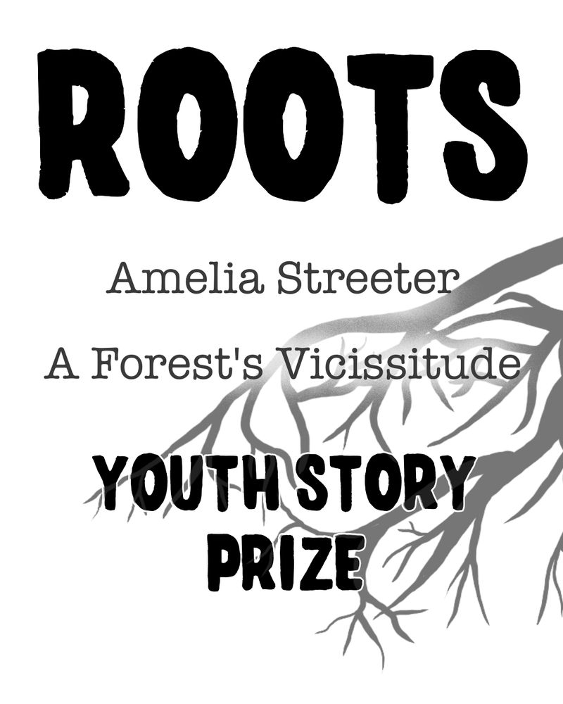 Black and white image of tree roots in the background. Text: ROOTS. Amelia Streeter. A Forest's Vicissitude. Youth Story Prize.