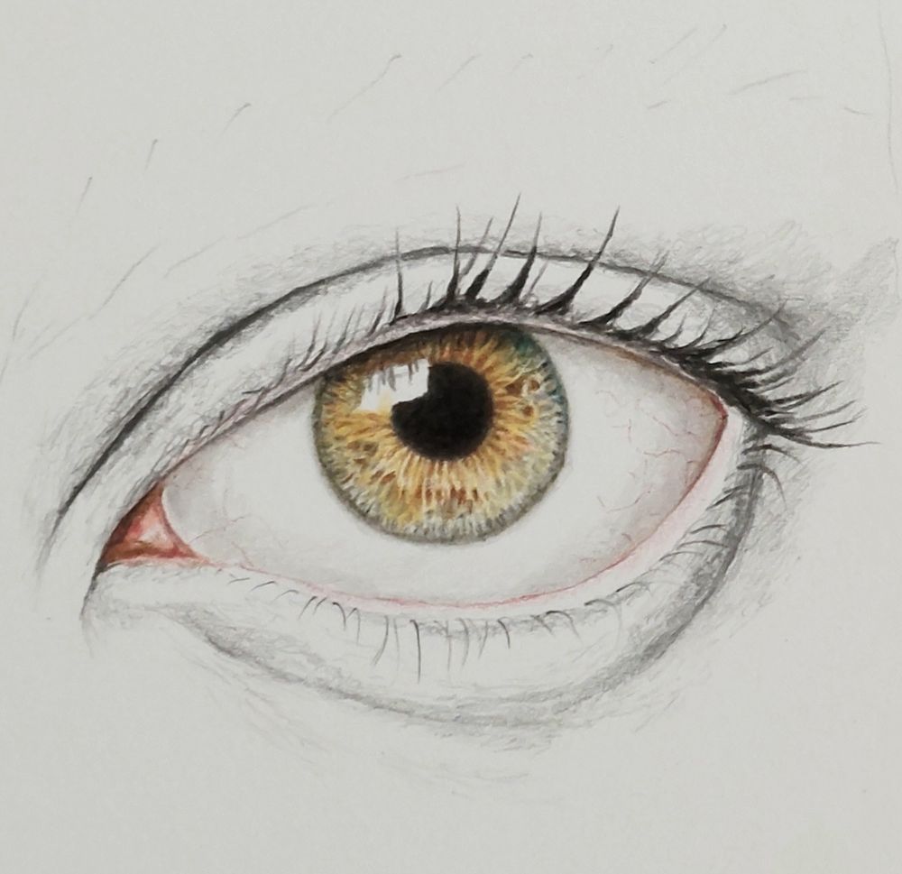 A detail of a work in progress. The drawing shows a hazel eye rendered with coloured pencil and graphite.