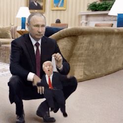 Comment image