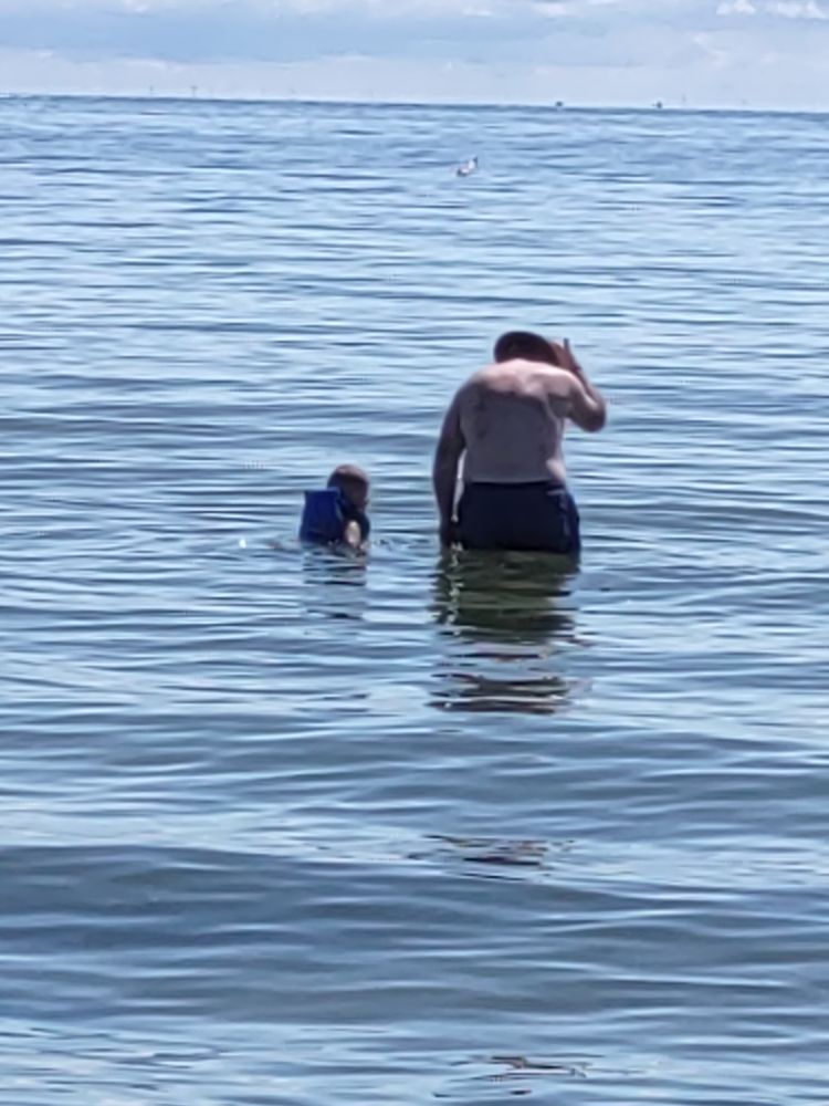 Grandpa and grandson wading in Lake St. Clair (MI)