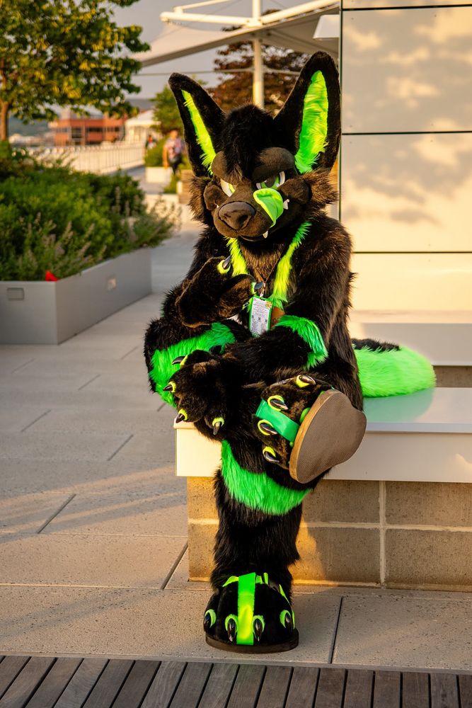 Green and black wolf fursuit with legs crossed