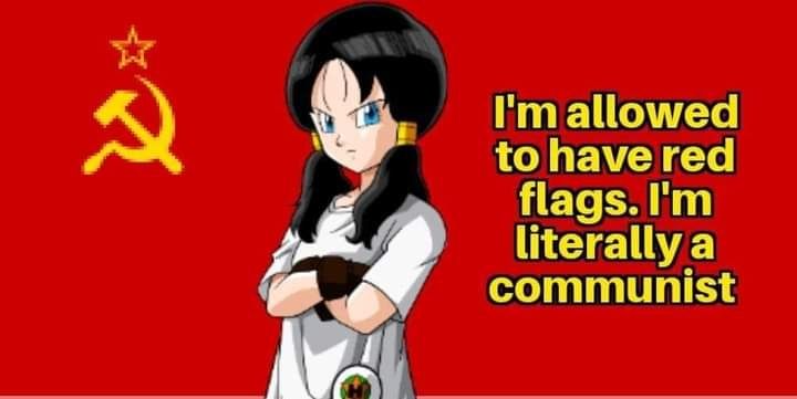 Videl from the Dragon Ball series in front of a USSR flag with the caption, "I'm allowed to have red flags. I'm literally a communist."