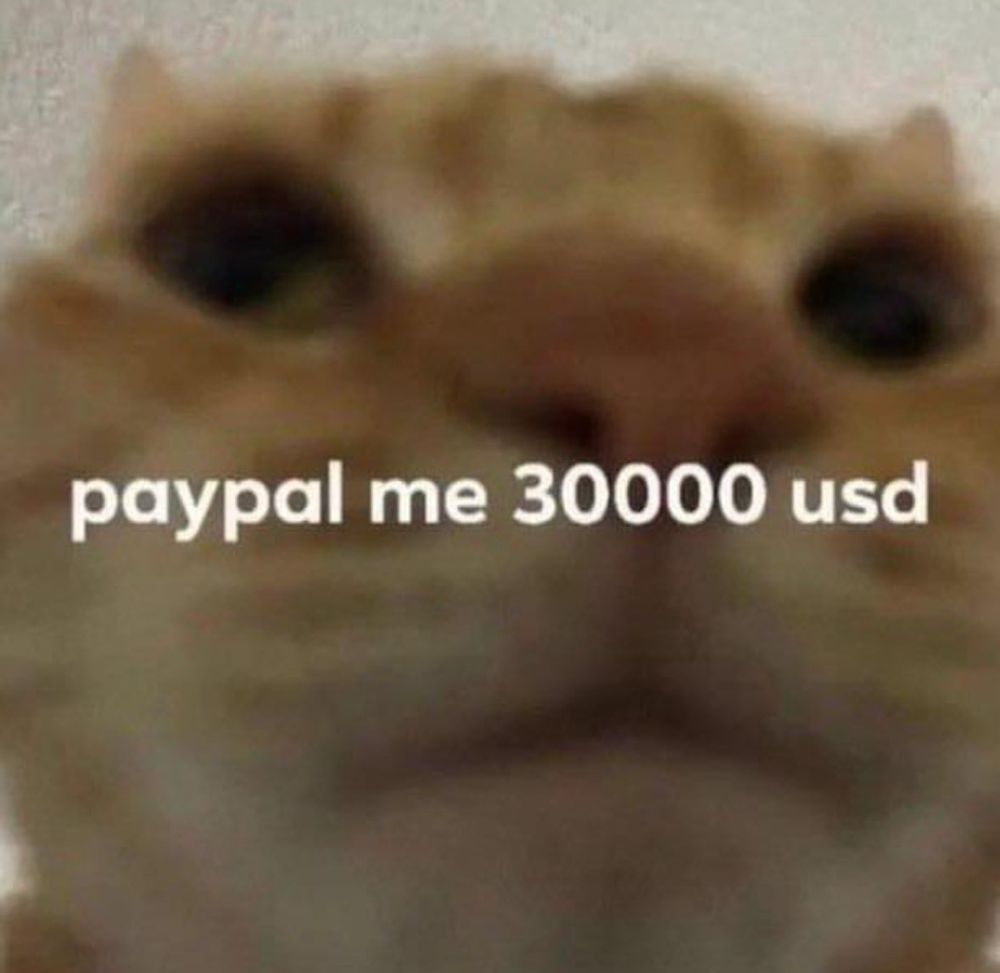 zoomed in picture of a cat with the caption paypal me $30000 usd