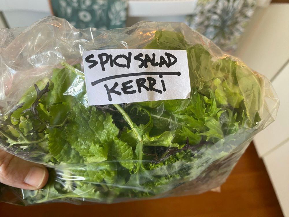 Clear bag of salad greens labeled “Spicy Salad Kerri”