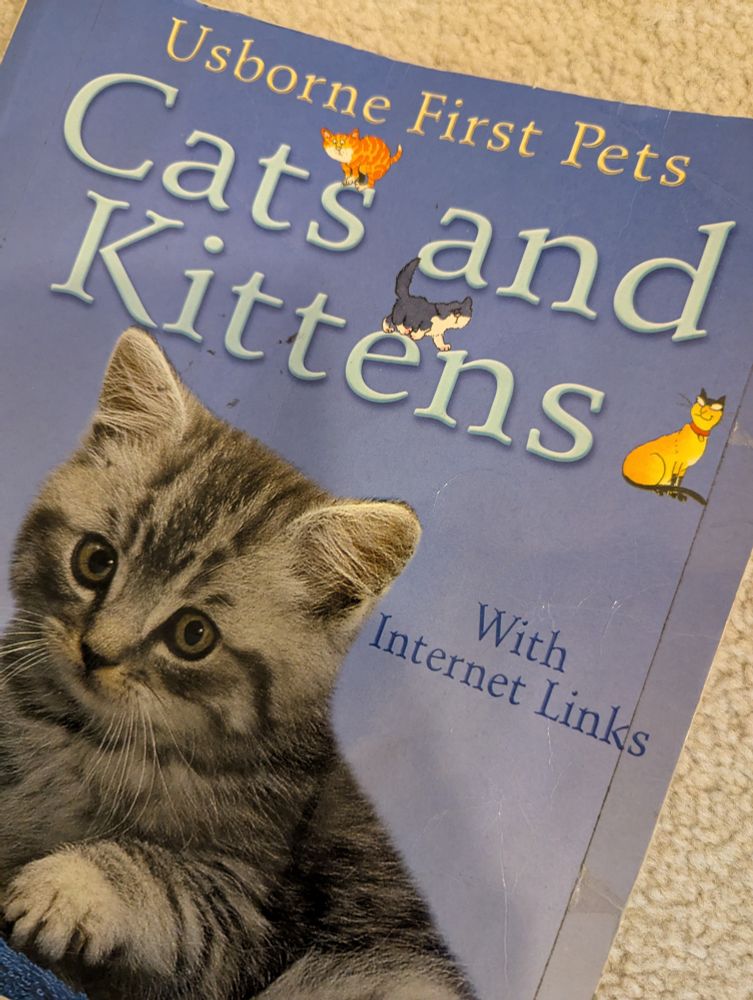 The cover of a library book: Usborne First Pets - Cats and Kittens, featuring a cute fluffy grey kitten and a blurb that says "With Internet Links"