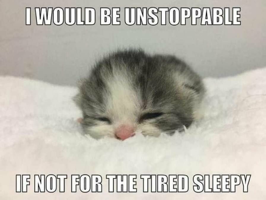 A sleepy kitten on a blanket with the text I would be unstoppable if not for the tired sleepy