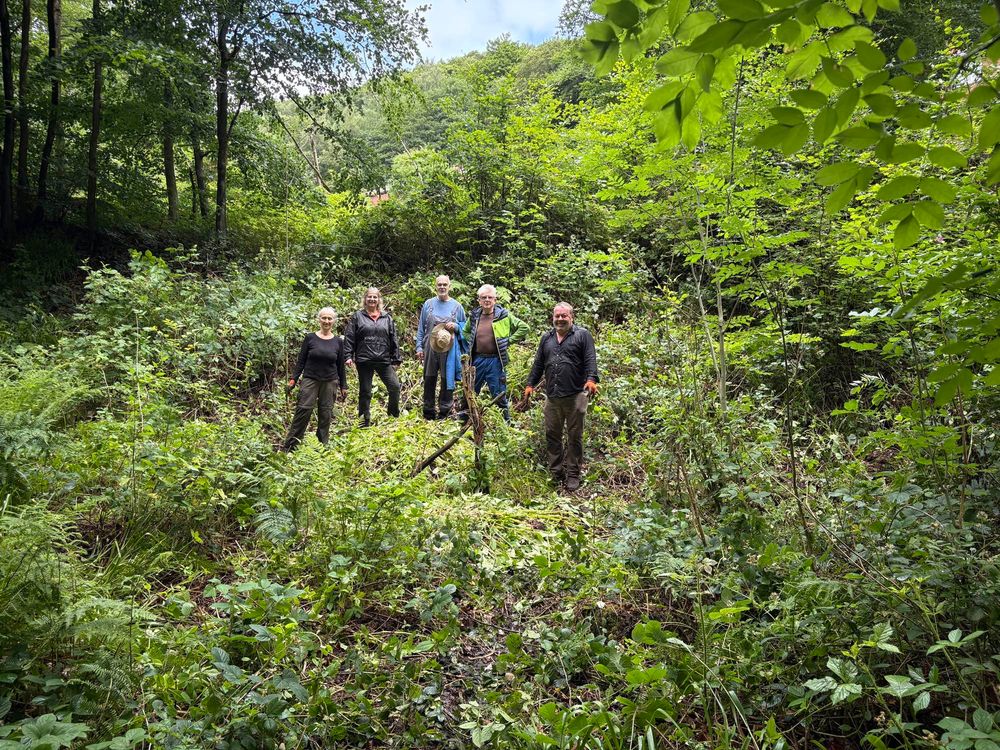 5 people in an woodland cleaning standing behind 2 huge piles of balsam 