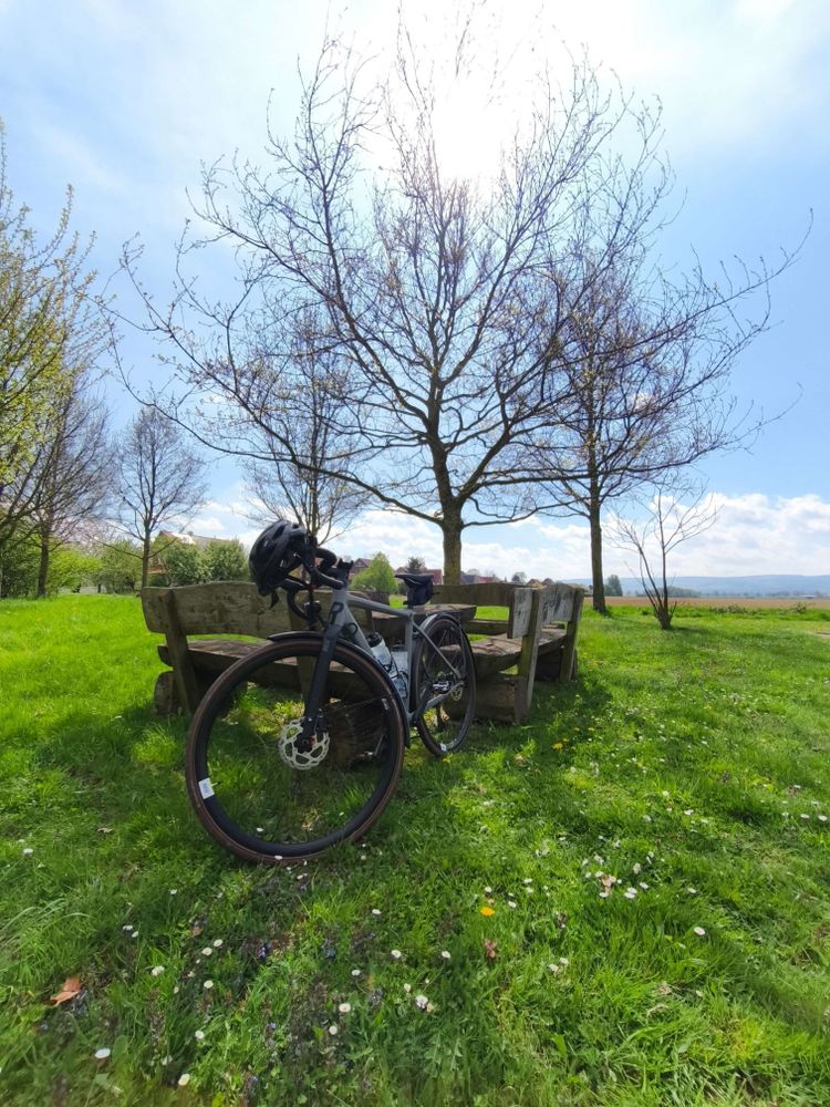 Mein Gravel-Bike angelehnt an eine Holzbank in der Natur. Man sieht dahinter einen Baum und viel Rasen.