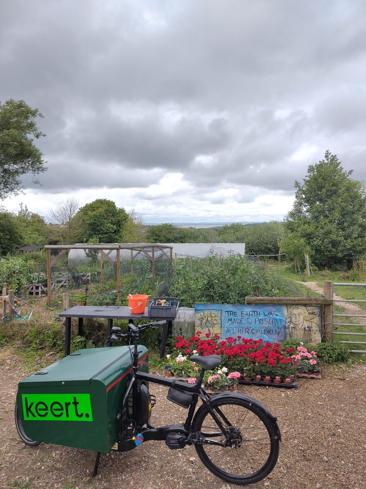 A front loading cargo bike next to 150 small geraniums in red pink and white. The bike and flowers are on a small holding on a hill with many things growing. In the background you can just see the sea, all under a thundercloud sky